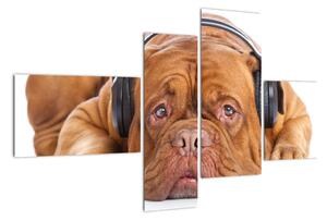 Moderní obraz - pes se sluchátky (110x70cm)
