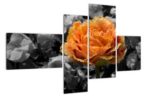 Oranžový květ na černobílém pozadí - obraz (110x70cm)