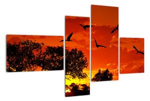 Obraz zapadajícího slunce s ptáky (110x70cm)