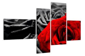 Obraz červené růže (110x70cm)