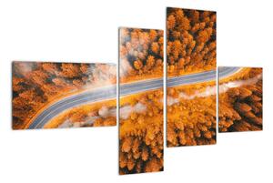 Cesta lesem - moderní obrazy na zeď (110x70cm)