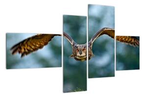 Obraz letící sovy (110x70cm)