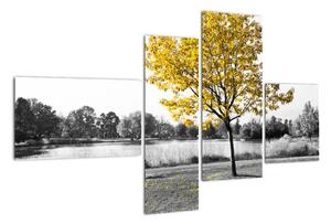 Obraz žlutého stromu v přírodě (110x70cm)