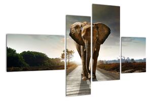 Obraz kráčejícího slona (110x70cm)