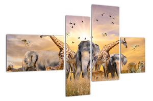 Obraz - safari (110x70cm)