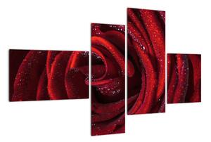 Obraz rudé růže (110x70cm)