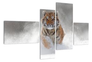 Obraz běžícího tygra (110x70cm)