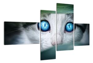 Obraz kočky, zářivé oči (110x70cm)