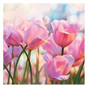 Ubrousky Pink Tulips 340141