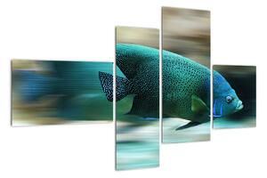 Obraz na stenu - ryby (110x70cm)