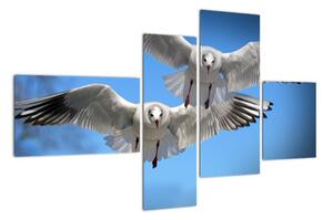 Obraz do bytu - ptáci (110x70cm)