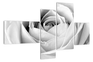 Černobílý obraz růže (110x70cm)