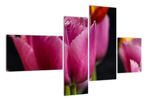 Tulipány - obrazy (110x70cm)