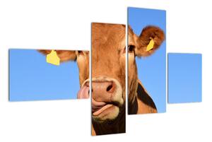 Obraz krávy (110x70cm)