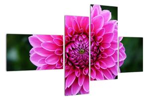 Obraz růžového květu (110x70cm)