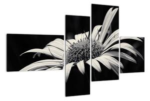 Černobílý obraz květu (110x70cm)