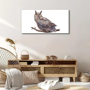 Obraz na plátně Obraz na plátně Malování zvířecí pták sova
