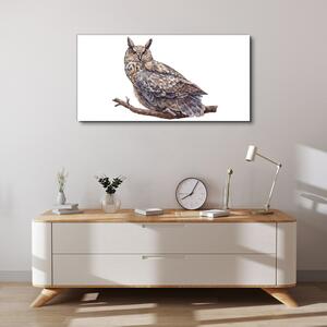 Obraz na plátně Obraz na plátně Malování zvířecí pták sova