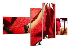 Obraz červených listů (110x70cm)