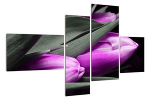 Obraz fialových tulipánů (110x70cm)