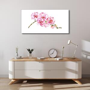 Obraz na plátně Obraz na plátně Malování květinové větve