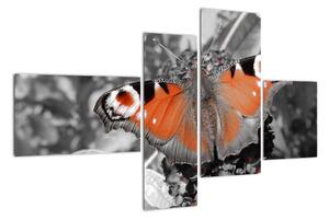 Oranžový motýl - obraz (110x70cm)