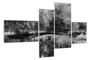 Černobílý most - obraz (110x70cm)