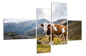 Obraz krávy na louce (110x70cm)