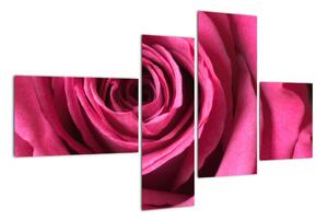 Obraz růžové růže (110x70cm)