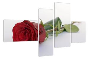 Obraz rudé růže (110x70cm)