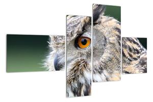Vyhlížející sova - obraz (110x70cm)