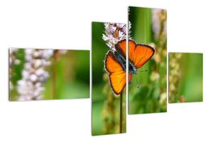 Moderní obraz motýla na louce (110x70cm)