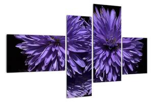 Obraz fialových květů (110x70cm)