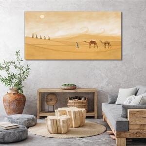 Obraz na plátně Obraz na plátně Pouštní slunce zvířata