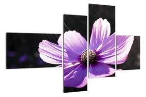 Obraz fialového květu (110x70cm)
