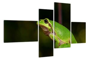 Obraz žáby (110x70cm)