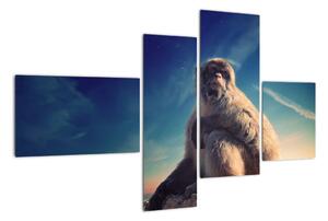 Obraz opice - obrazy zvířat (110x70cm)