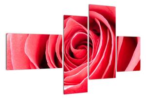 Obraz červené růže (110x70cm)