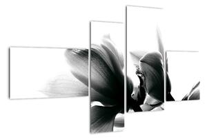 Obraz černobílých květů (110x70cm)
