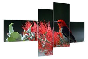 Obraz ptáků - červená (110x70cm)