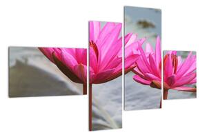 Obraz dvou květů (110x70cm)