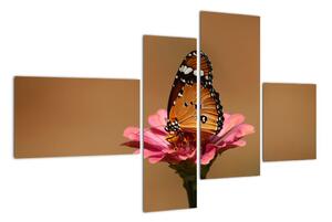 Obraz motýla (110x70cm)