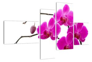 Obraz orchidejí na zeď (110x70cm)