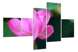 Obraz květu (110x70cm)