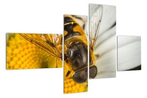 Obraz - detail včely (110x70cm)