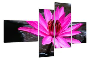 Obraz s detailem květu (110x70cm)
