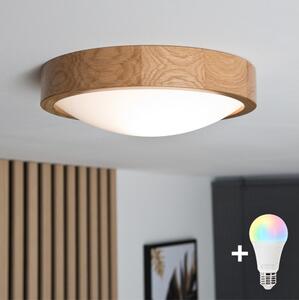 Brilagi-LED RGBW Stmív. strop. sv. CARVALHO SLIM 1xE27/9W/230V Wi-Fi dub pr. 27