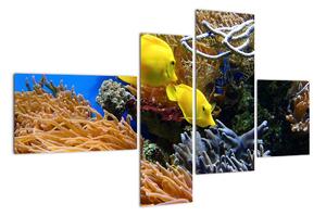 Podmořský svět - obraz (110x70cm)