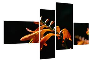 Obraz detailu květiny (110x70cm)