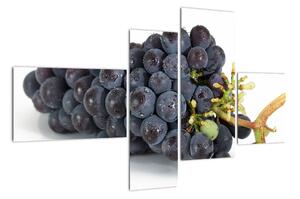 Obraz s hroznovým vínem (110x70cm)